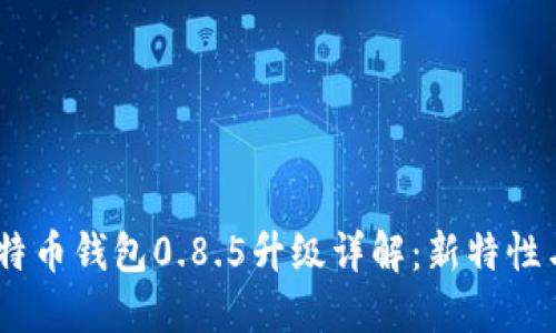 biasoti比特币钱包0.8.5升级详解：新特性与使用指南