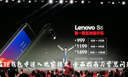 如何在TP钱包中进入观察模式：全面指南与常见问题解答