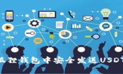 如何在小狐狸钱包中安全发送USDT：完整指南