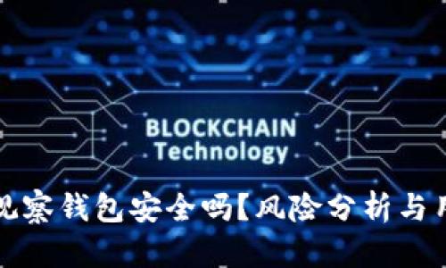 TP钱包观察钱包安全吗？风险分析与用户指南