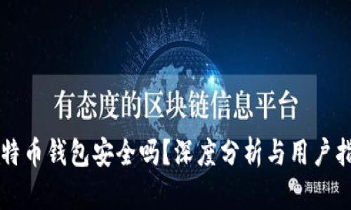 比特币钱包安全吗？深度分析与用户指南