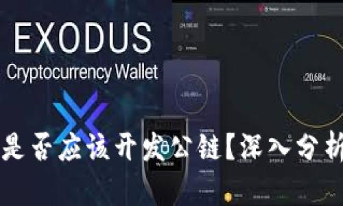 TP钱包是否应该开发公链？深入分析与展望