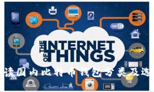 全面解读国内比特币钱包分类及选择攻略