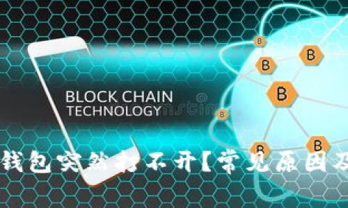 为什么TP钱包突然打不开？常见原因及解决方法