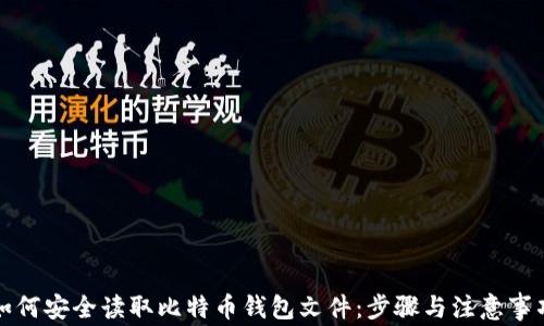
如何安全读取比特币钱包文件：步骤与注意事项