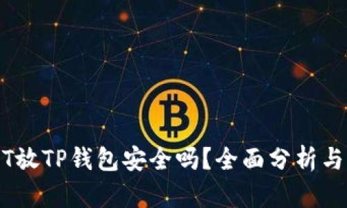 高仿USDT放TP钱包安全吗？全面分析与风险评估