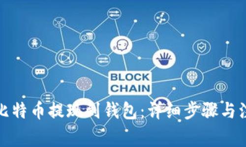 如何将比特币提现到钱包：详细步骤与注意事项