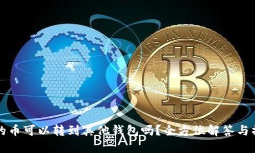 TP钱包的币可以转到其他钱包吗？全方位解答与操作指南