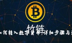 TP钱包如何转入数字货币：详细步骤与注意事项