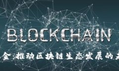 中国Web3基金：推动区块链生态发展的未来投资机