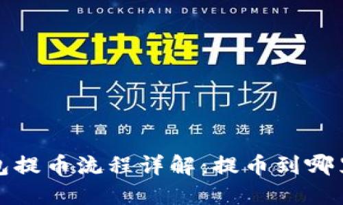 Web3钱包提币流程详解：提币到哪里更安全？