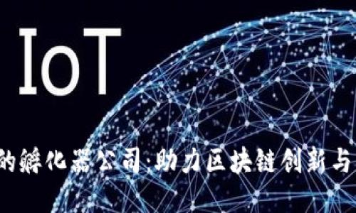 Web3时代的孵化器公司：助力区块链创新与创业的未来