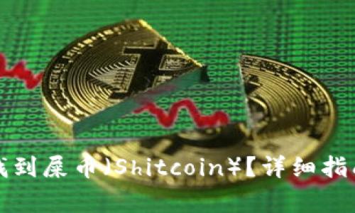 如何在TP钱包中找到屎币（Shitcoin）？详细指南与常见问题解答
