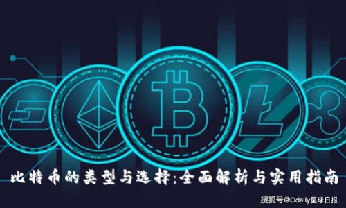 比特币的类型与选择：全面解析与实用指南